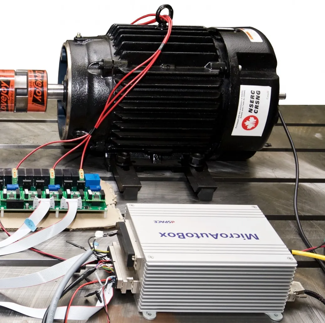 motor system